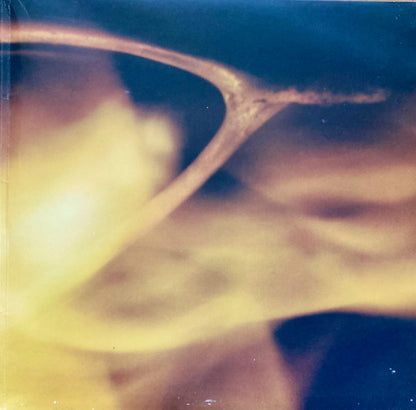 Wishbone Ash : Wishbone Ash (LP, Album, Pin)