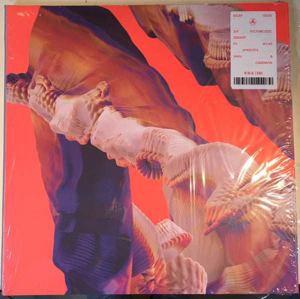 Bicep : Isles (2xLP, Album, Pic, Gat)