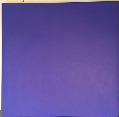 Bicep : Isles (2xLP, Album, Pic, Gat)