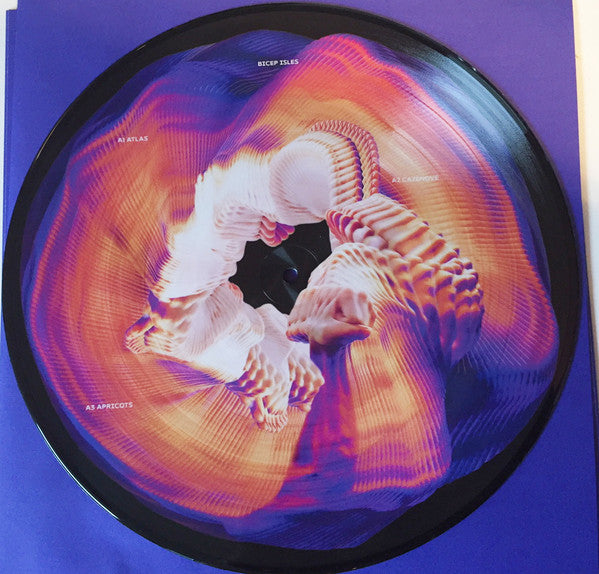 Bicep : Isles (2xLP, Album, Pic, Gat)
