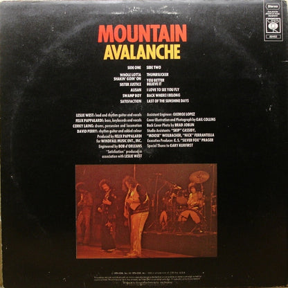 Mountain : Avalanche (LP, Album)