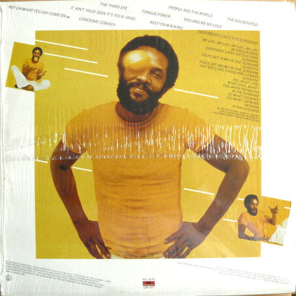 Roy Ayers Ubiquity : Everybody Loves The Sunshine (LP, Album, RE)