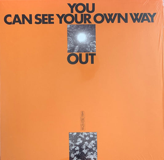 Ilyas Ahmed & Jefre Cantu-Ledesma : You Can See Your Own Way Out (LP, Album, Cle)