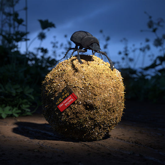 Various : Cache 02 (3xLP, Comp)