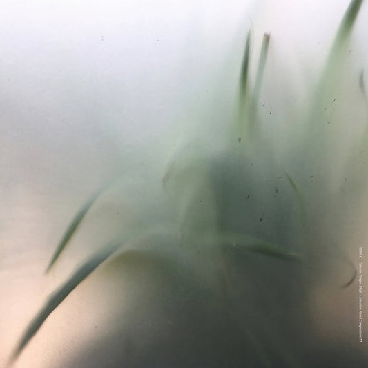 TIBSLC* : Delusive Tongue Shifts - Situation Based Compositions (2xLP, Album, Ltd)