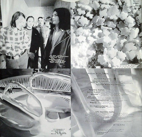 The Posies : Frosting On The Beater (LP, Album)