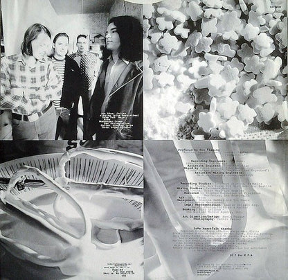 The Posies : Frosting On The Beater (LP, Album)
