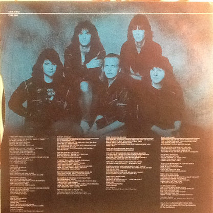 The Michael Schenker Group : Built To Destroy (LP, Album)