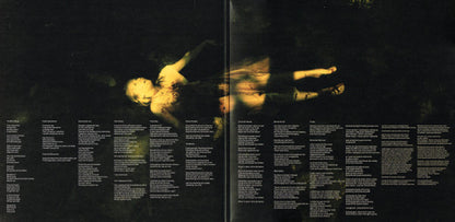 Porcupine Tree : The Incident (2xLP, Album, 180)