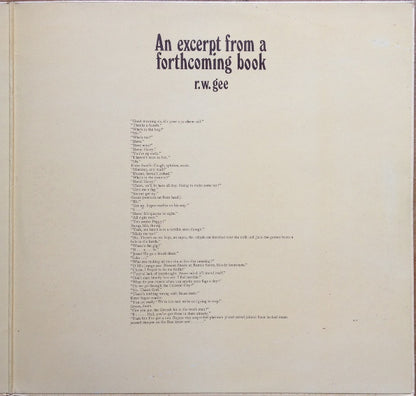 Fairport Convention : Angel Delight (LP, Album)