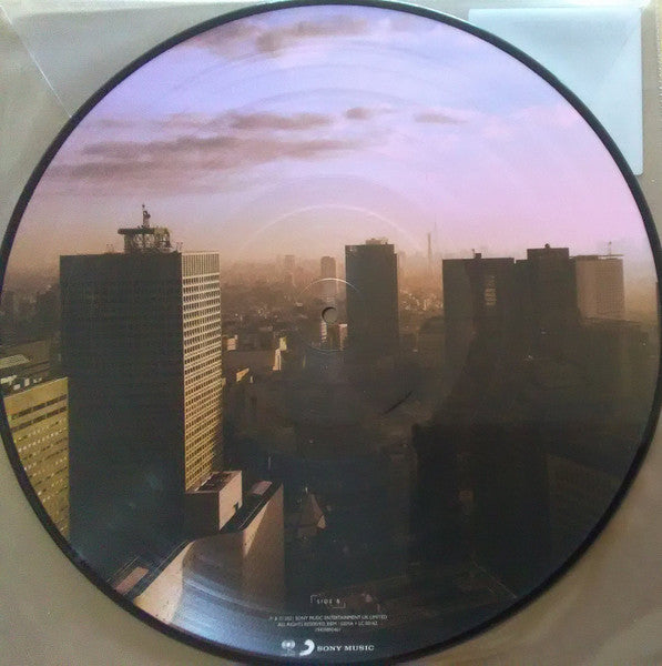 Manic Street Preachers : The Ultra Vivid Lament (LP, Album, Ltd, Pic)