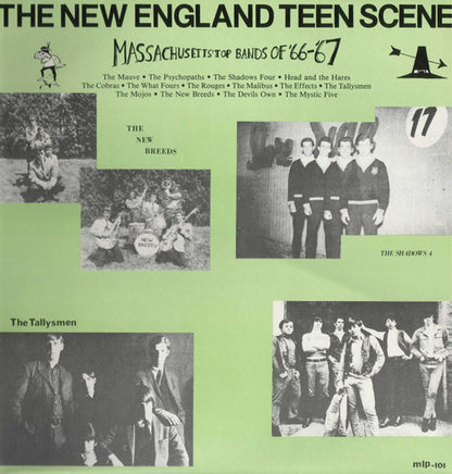 Various : The New England Teen Scene (LP, Comp)