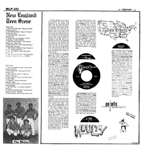 Various : The New England Teen Scene (LP, Comp)