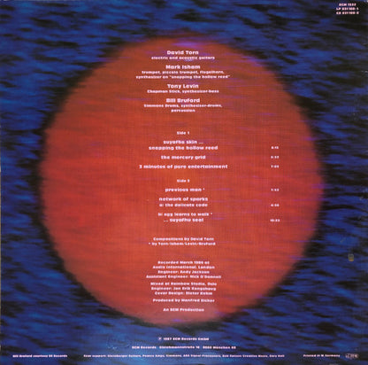 David Torn : Cloud About Mercury (LP, Album)