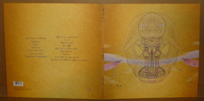 Devendra Banhart : What Will We Be (2xLP, Album, 180)