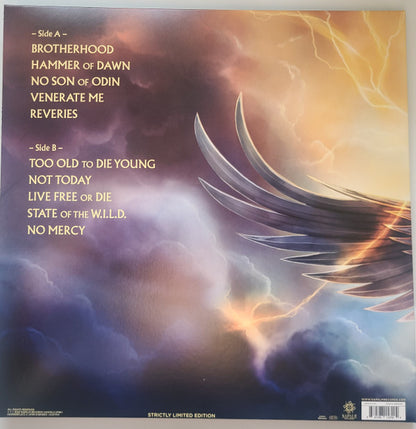 HammerFall : Hammer Of Dawn (LP, Album, Ltd)