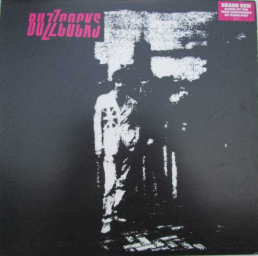 Buzzcocks : Buzzcocks (LP, Album)