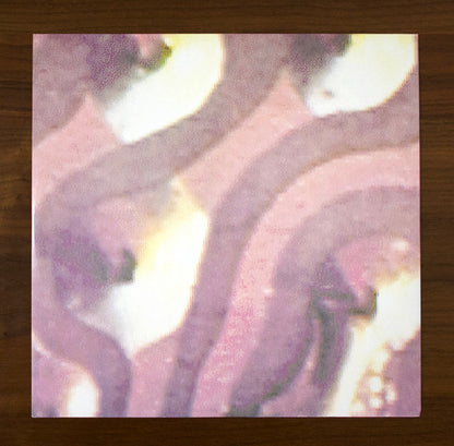 Stereolab : Transient Random-Noise Bursts With Announcements (2xLP, Album)