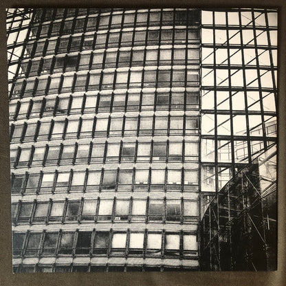 G36 vs JK Flesh : Disintegration Dubs (LP, Red + LP, Gre + Album, Ltd)