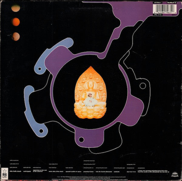 The Orb : The Orb's Adventures Beyond The Ultraworld (2xLP, Album)