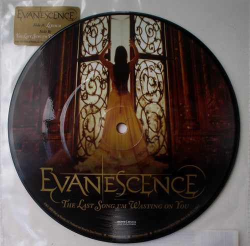 Evanescence : Lithium (7", Single, Pic)