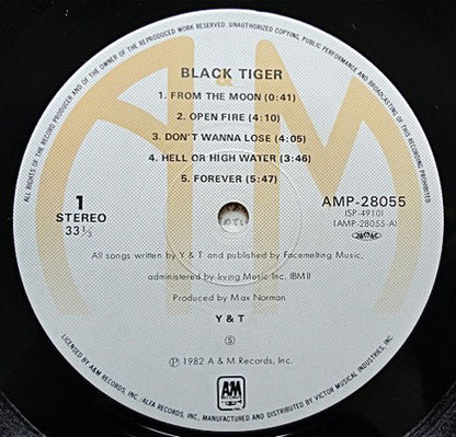 Y & T : Black Tiger (LP, Album)