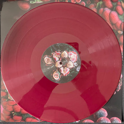 Björk : Fossora (2xLP, Album, Ltd, Bur)