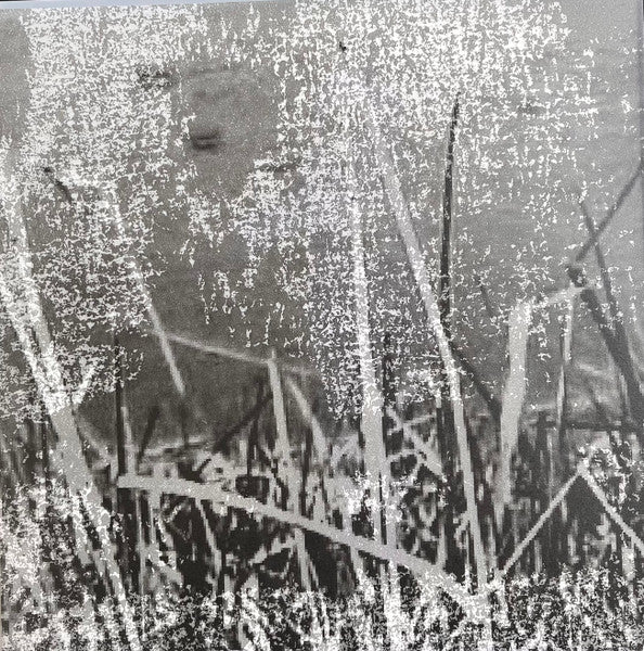 Sigur Rós : ( ) (2xLP, Album + 12", Comp + Box, Dlx, Ltd, Num, 20t )
