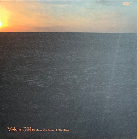 Melvin Gibbs : Anamibia Sessions 1: The Wave (LP)