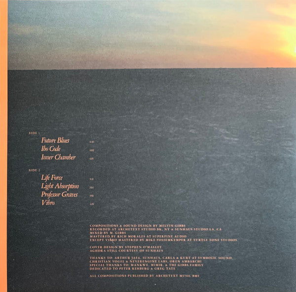 Melvin Gibbs : Anamibia Sessions 1: The Wave (LP)