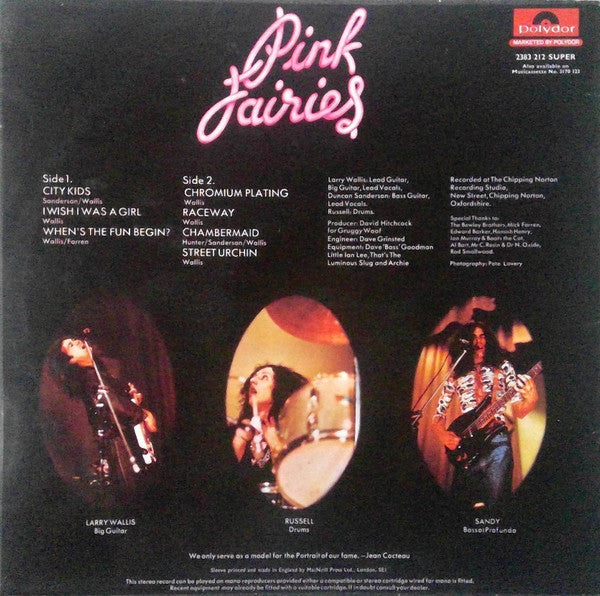 The Pink Fairies : Kings Of Oblivion (LP, Album)
