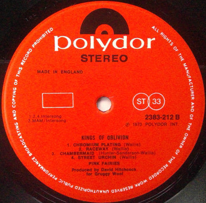 The Pink Fairies : Kings Of Oblivion (LP, Album)