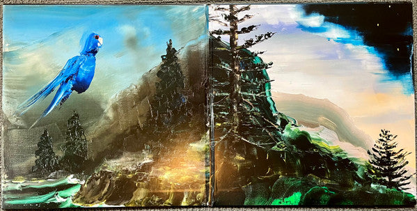 Bill Callahan : Reality (2xLP, Album)