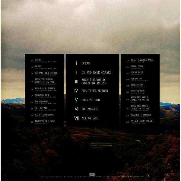 Dirty Projectors + Björk : Mount Wittenberg Orca (12", EP, RE, Dar + LP, Dar + RSD, Exp)