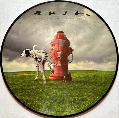 Rush : Signals  (LP, Album, Ltd, Pic, RE, RM, 40t)