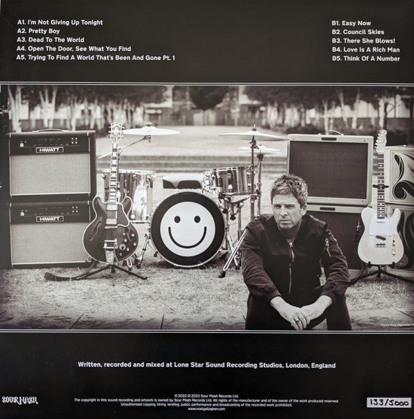 Noel Gallagher's High Flying Birds : Council Skies (LP, Album, Ltd, Num, Bla)
