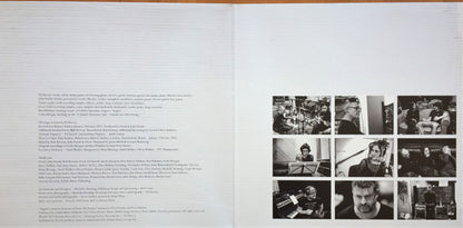 PJ Harvey : I Inside The Old Year Dying (LP, Album)