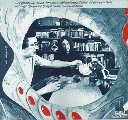 Melodic Energy Commission : Migration Of The Snails (LP, Album)