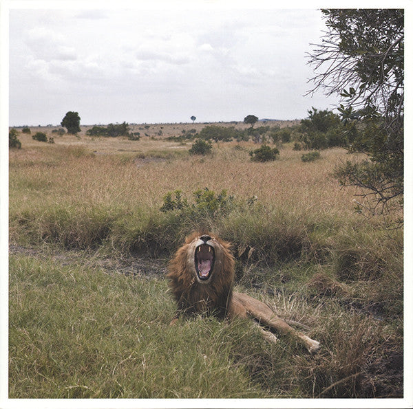 Mogwai : Earth Division EP (12", EP)