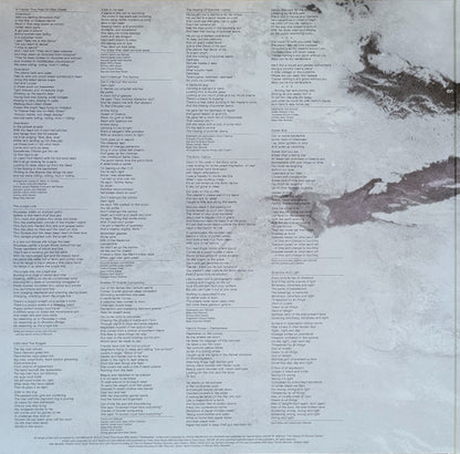 Joni Mitchell : The Hissing Of Summer Lawns (2xLP, Album, Club, RE, RM, Gre)