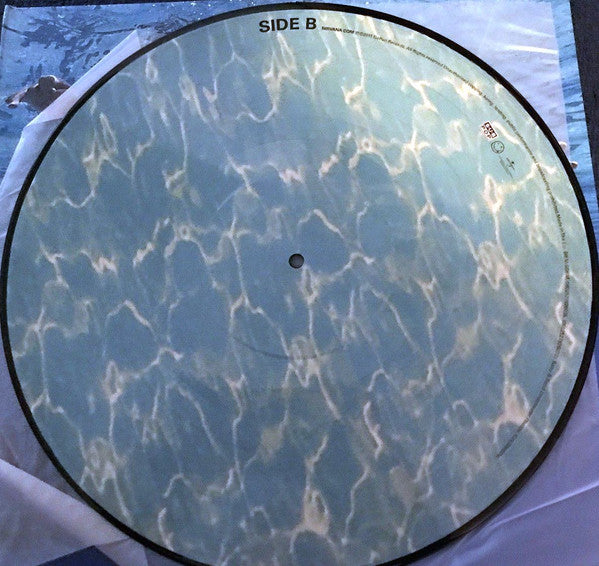 Nirvana : Nevermind (4xLP, Album, Dlx, Ltd, Num, Pic, RE, RM)