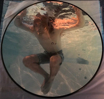 Nirvana : Nevermind (4xLP, Album, Dlx, Ltd, Num, Pic, RE, RM)