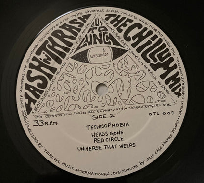 Hash 'n' Thrash : The Chillum Mix (LP, Album)