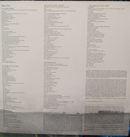 Taking Back Sunday : Where You Want To Be (LP, Album, Club, RE, Tan)