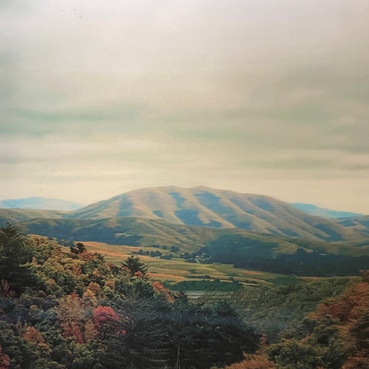 Dirty Projectors + Björk : Mount Wittenberg Orca (12", EP, Dlx, Num)