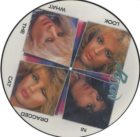 Poison (3) : Look What The Cat Dragged In (LP, Album, Pic)
