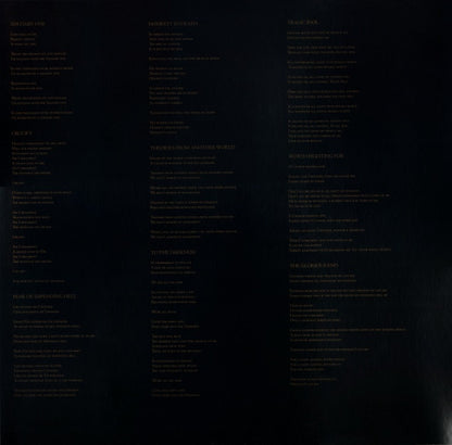 Paradise Lost : Tragic Idol (LP, Album)