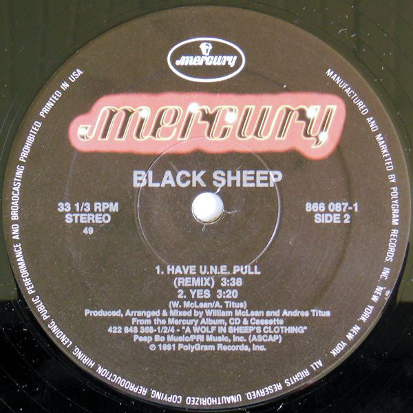 BlackSheep* : The Choice Is Yours (12", Single)