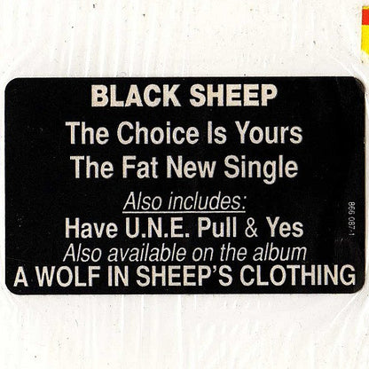 BlackSheep* : The Choice Is Yours (12", Single)
