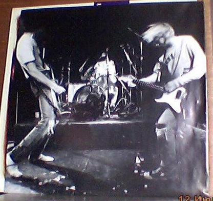 Nirvana : From The Muddy Banks Of The Wishkah (2xLP, Album)